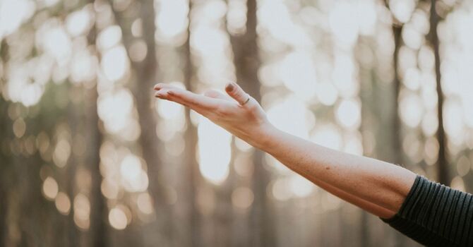 Lifestyle / Integrative Medicine