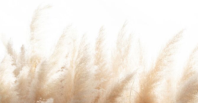 Lifestyle / Integrative Medicine