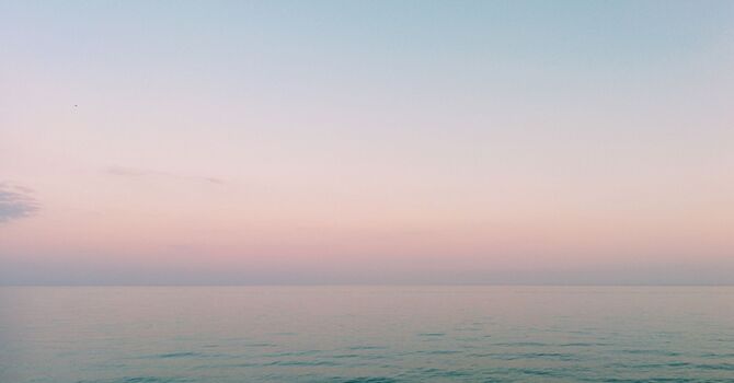 Chronic Disease Management